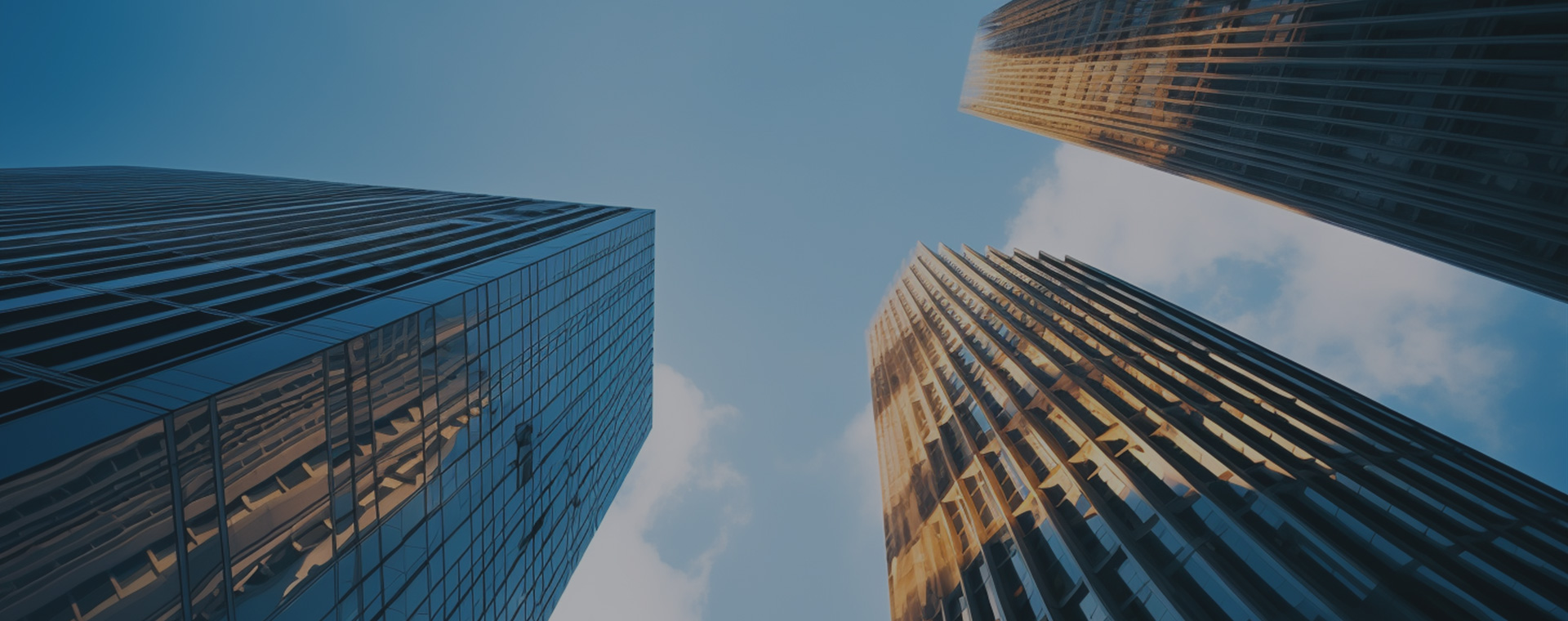 xc sports(中国区)-官方网站